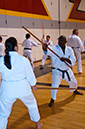 DSC-20101182