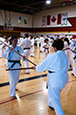 DSC-20101178