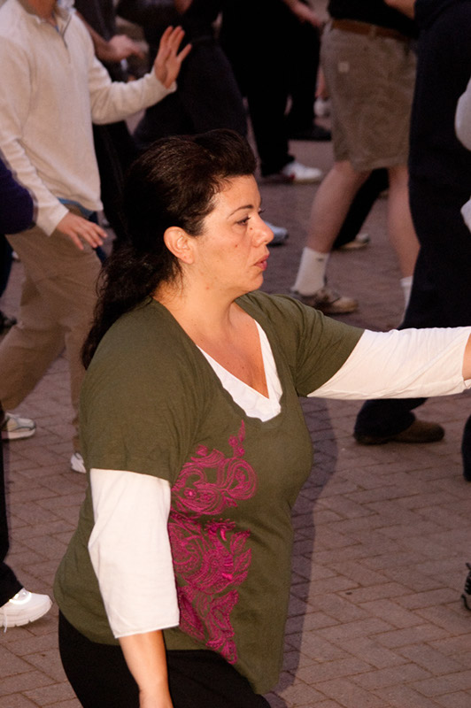 DSC-20100766