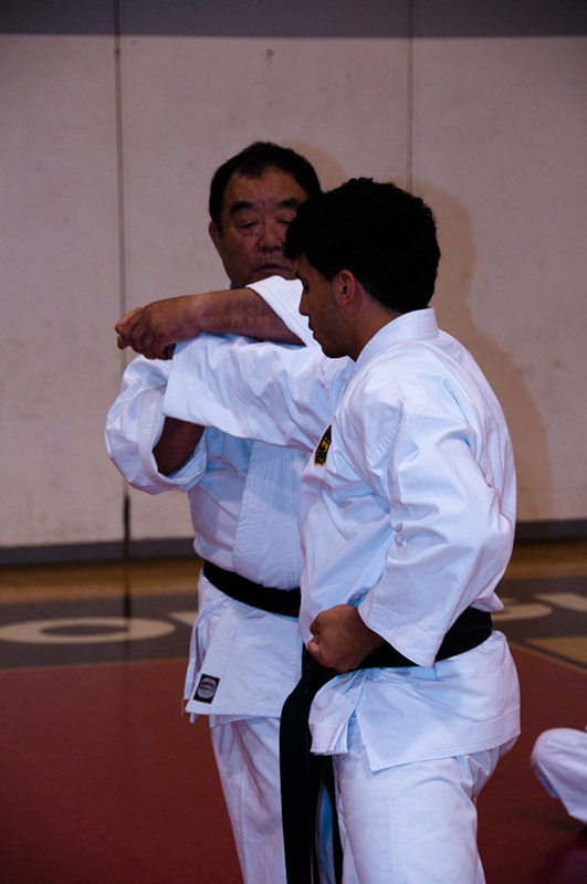 DSC-20101454