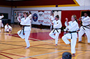 DSC-20100462