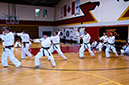 DSC-20100465