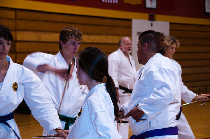 DSC-20100676