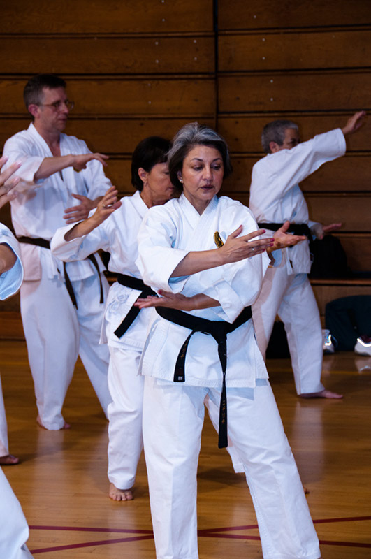 DSC-20100706