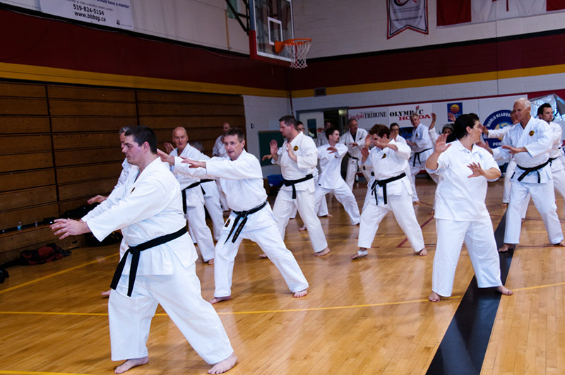 DSC-20100713