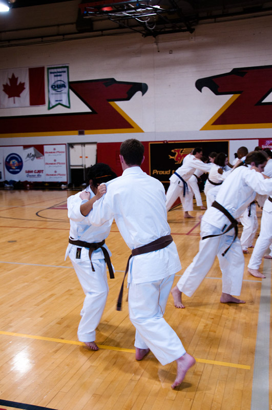 DSC-20100717