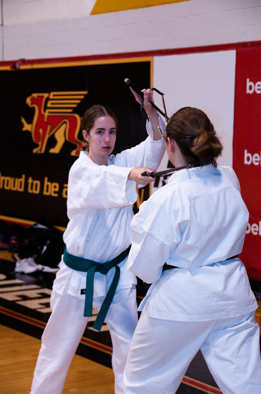 DSC-20100672