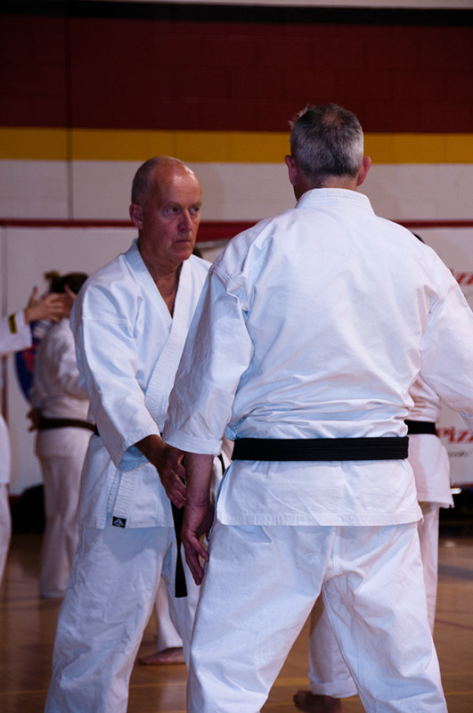 DSC-20100711
