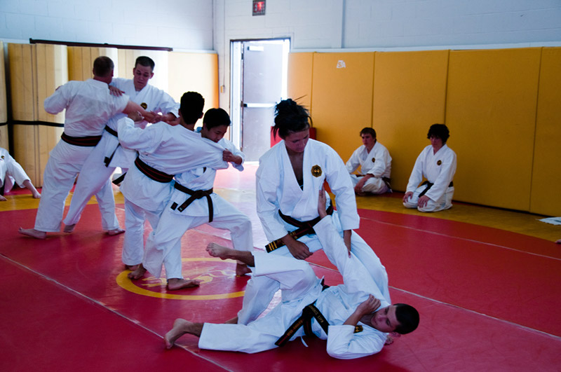 DSC-20100602