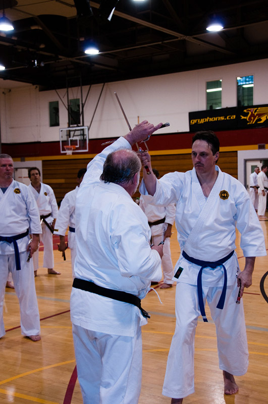 DSC-20100673