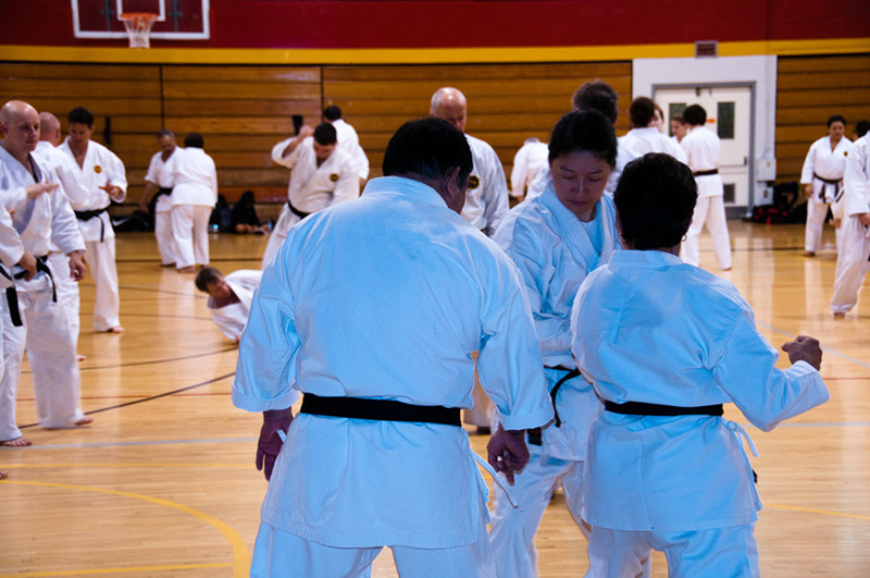 DSC-20101051