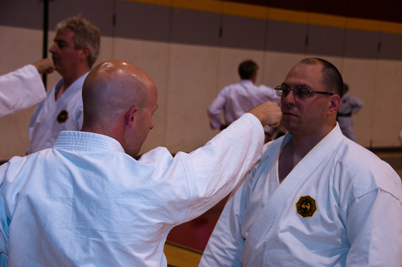 DSC-20100934