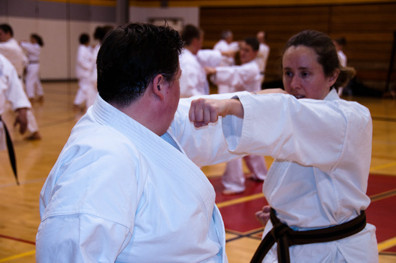 DSC-20100941