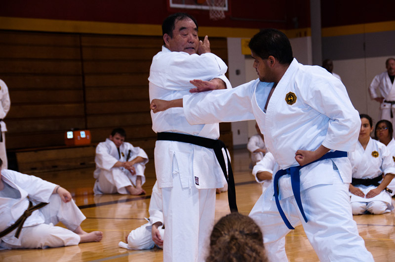 DSC-20101078