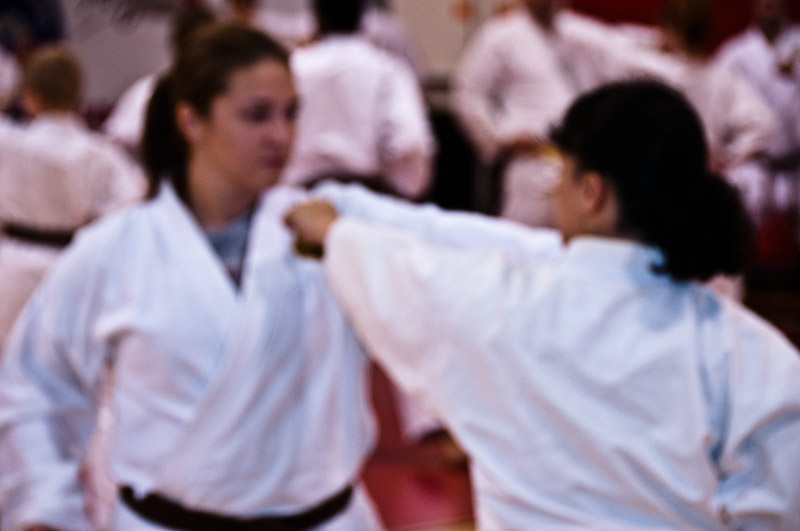 DSC-20100944