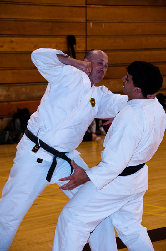 DSC-20101066