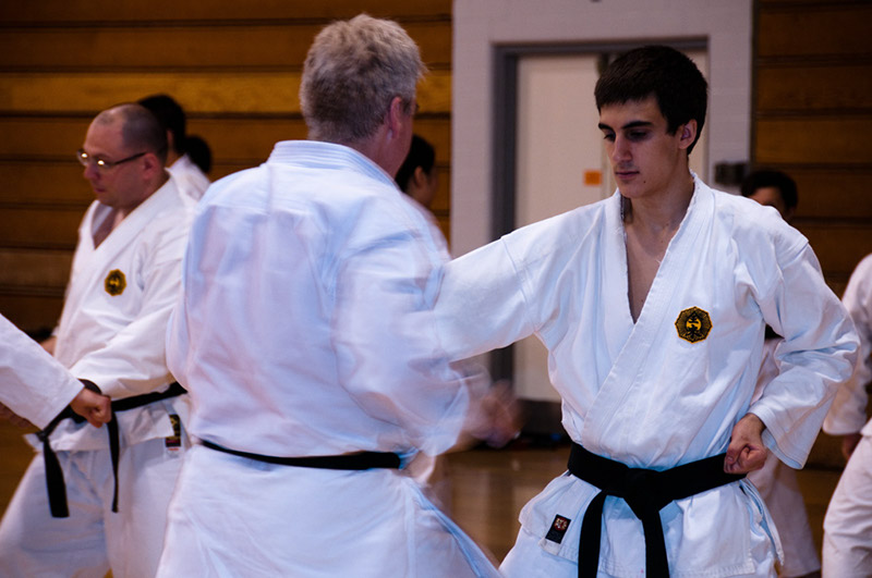 DSC-20101062