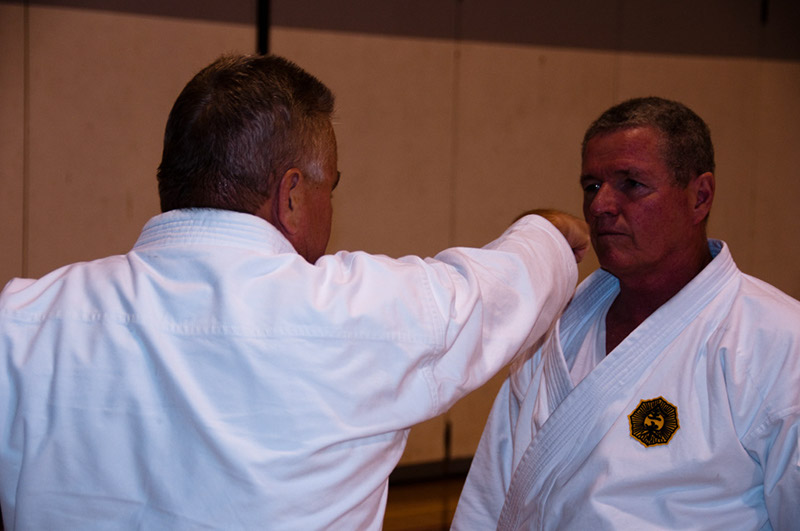 DSC-20100935