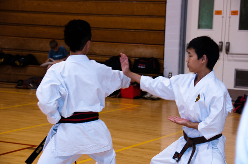 DSC-20101076