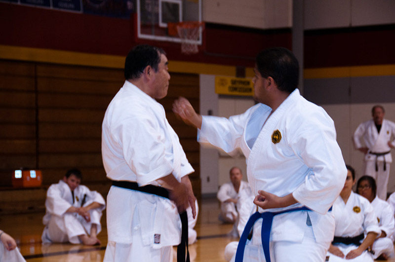 DSC-20101077