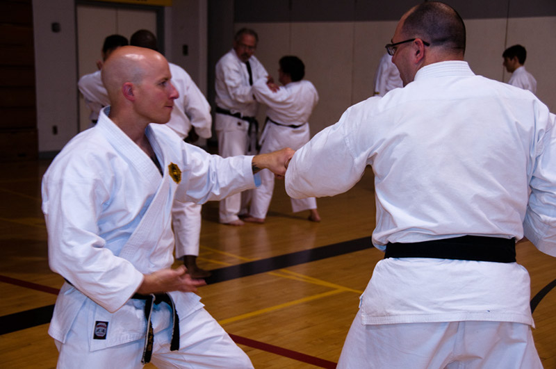 DSC-20101088