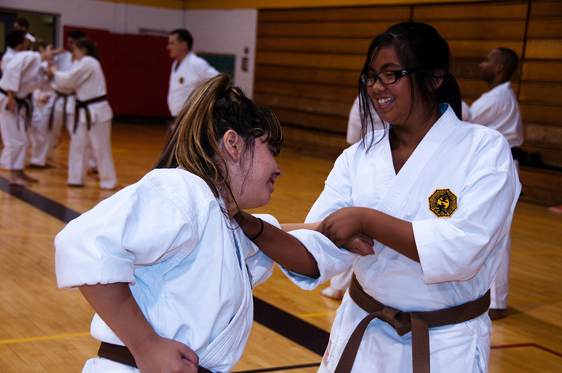 DSC-20101086