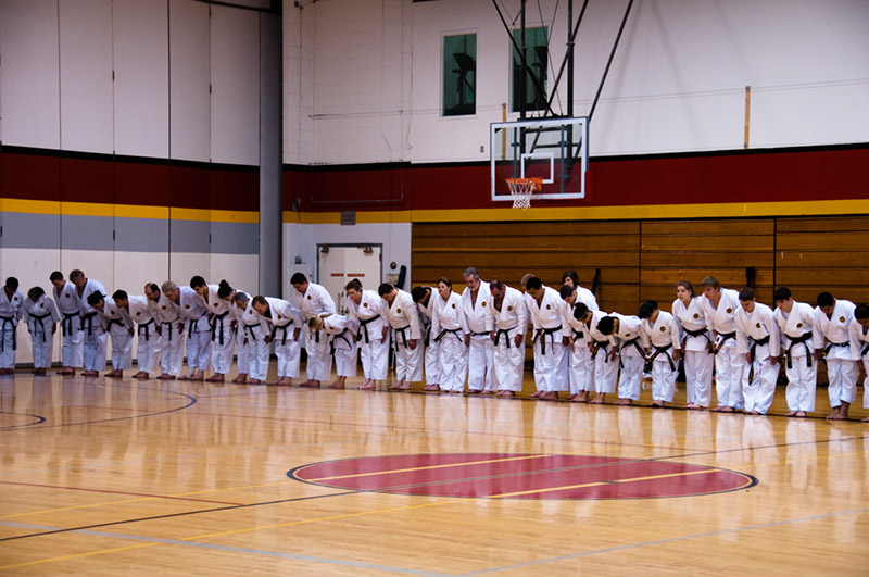 DSC-20101103