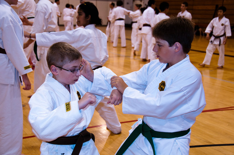 DSC-20101080