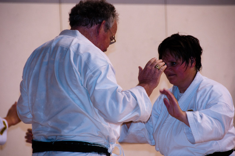 DSC-20101094