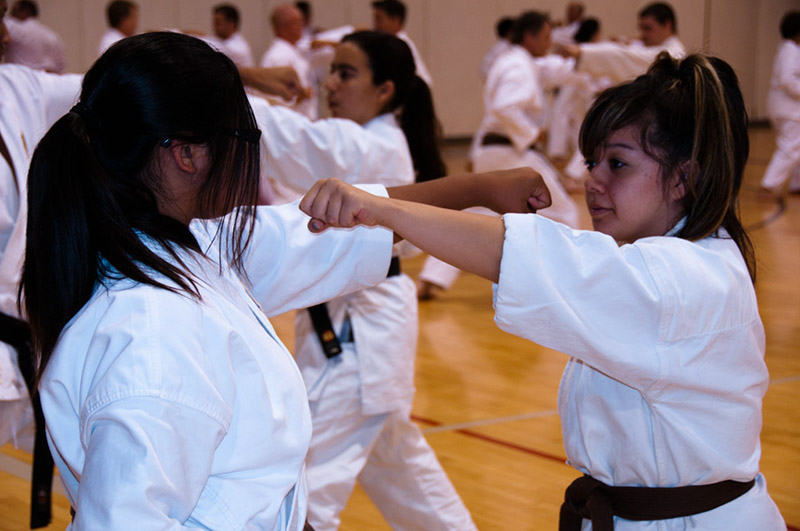 DSC-20100940