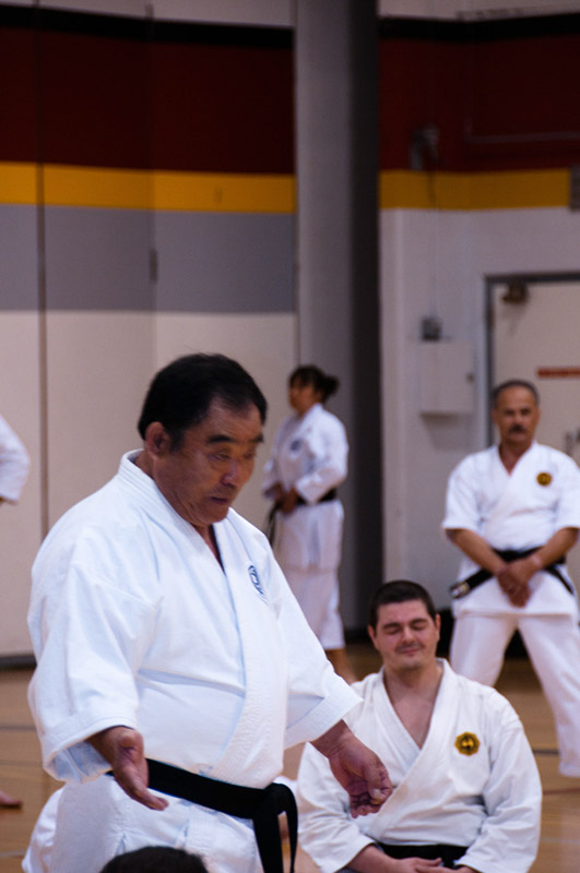DSC-20100946