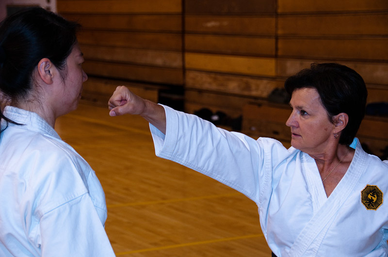 DSC-20100937