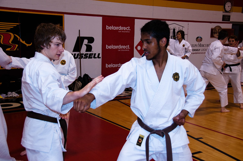 DSC-20101079