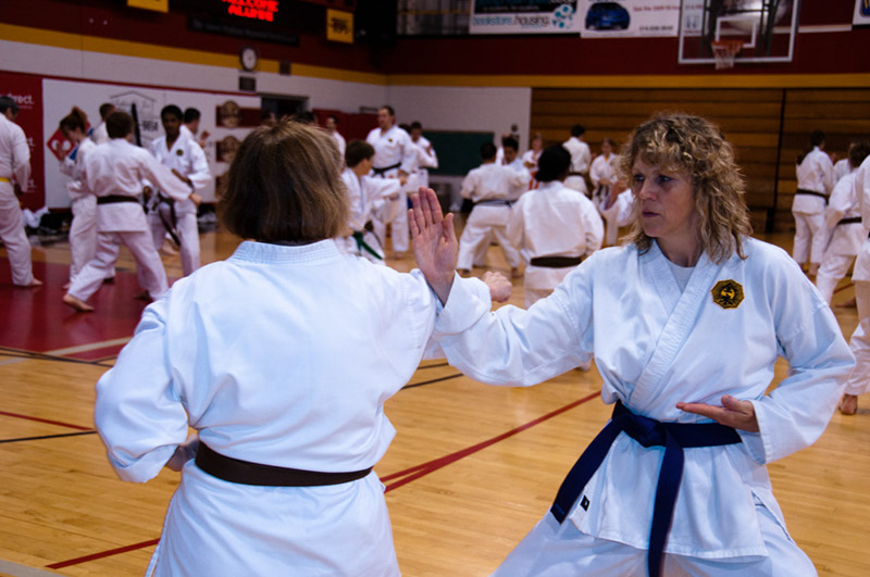 DSC-20101073