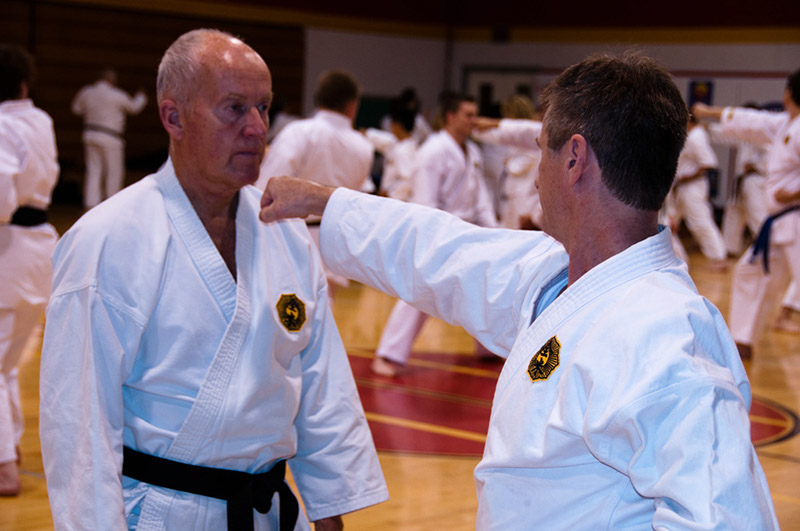 DSC-20100932