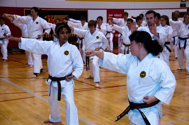 DSC-20101513