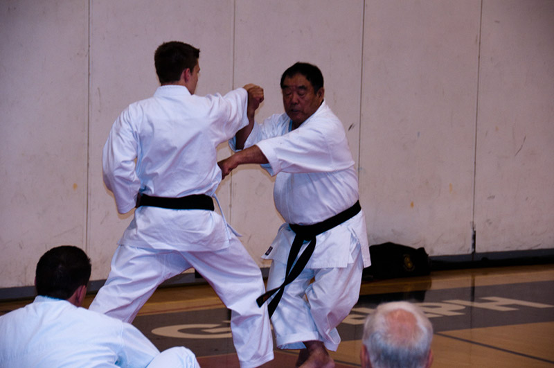DSC-20101450