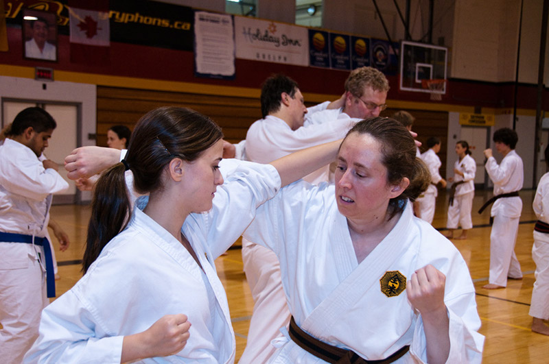 DSC-20101962