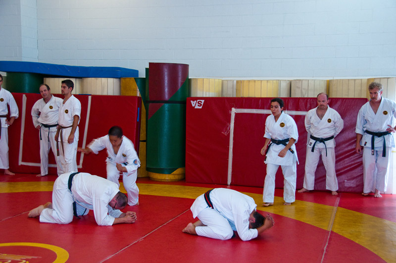 DSC-20101876