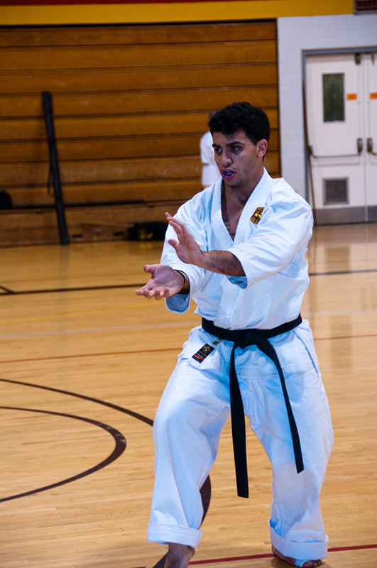 DSC-20102036