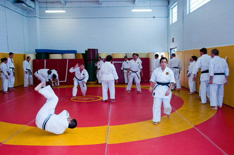 DSC-20101849