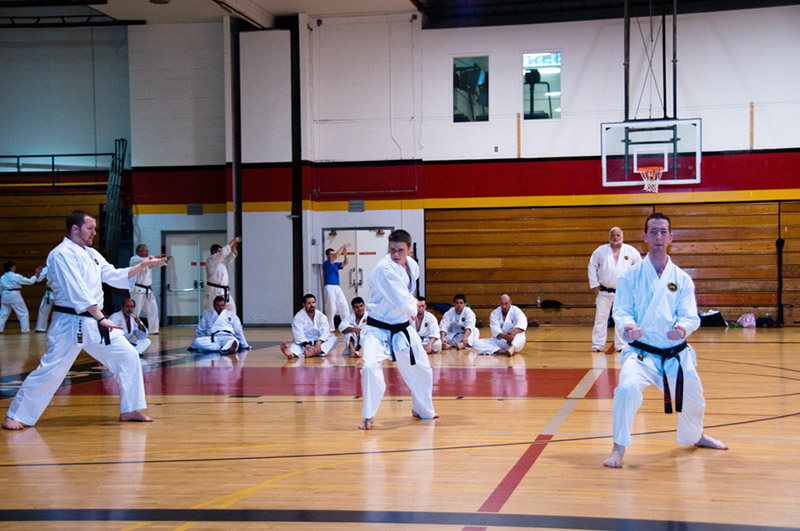 DSC-20102046