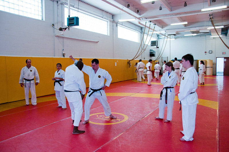 DSC-20101882