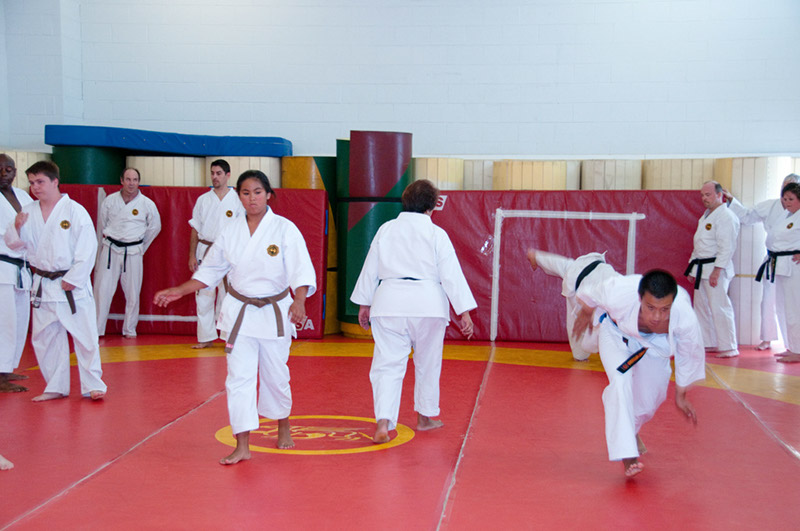 DSC-20101856