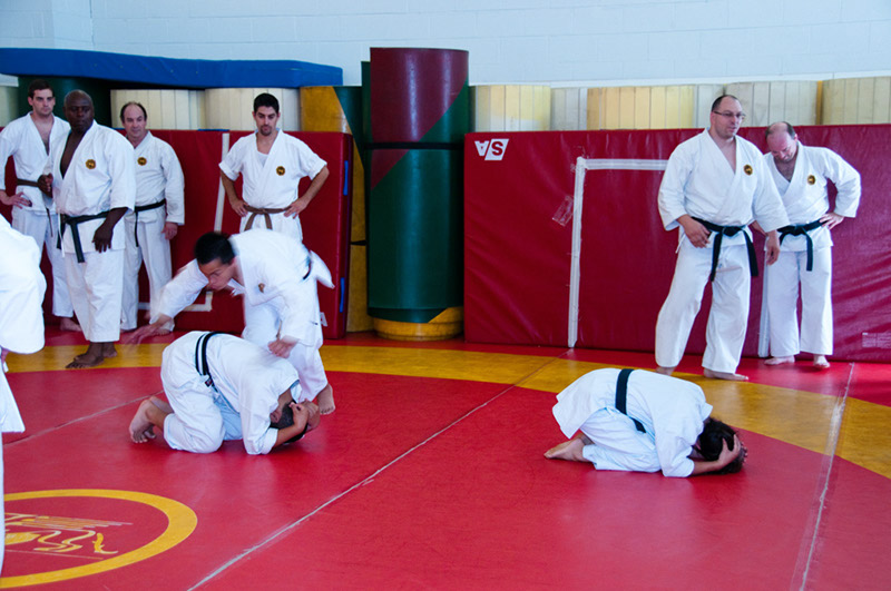 DSC-20101866
