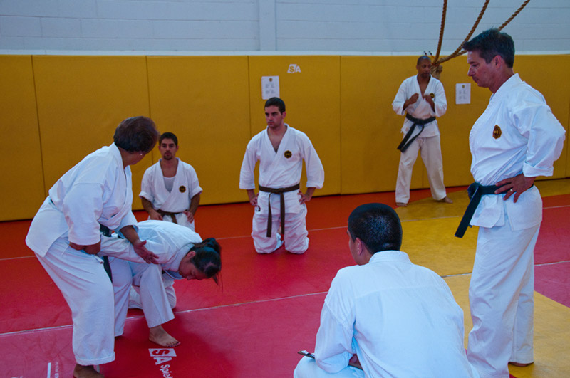 DSC-20101905