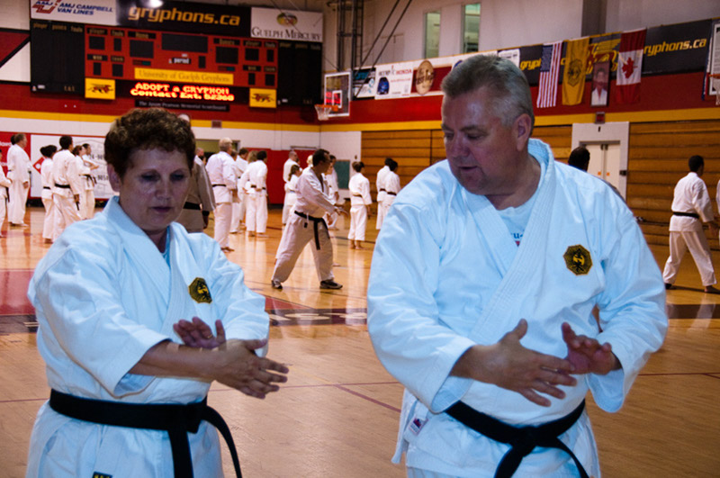 DSC-20101990