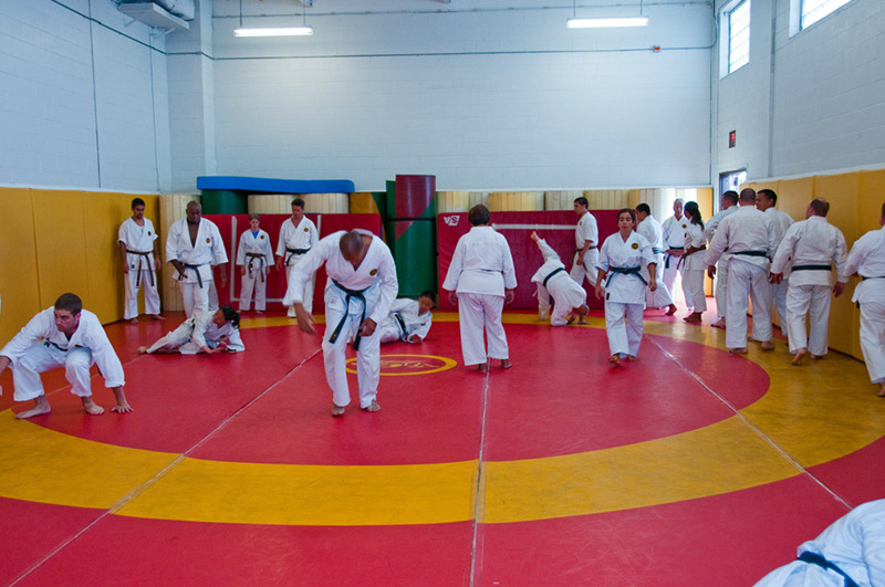 DSC-20101853