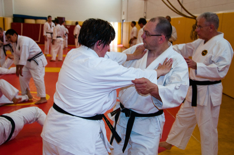 DSC-20102001