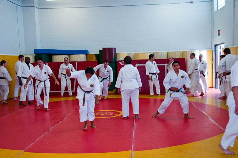 DSC-20101850
